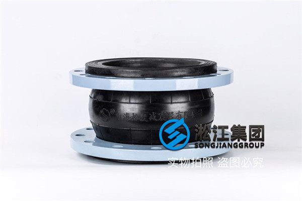 潍坊滤池进水系统用DN250橡胶避震接头